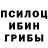 Псилоцибиновые грибы Psilocybine cubensis vanda vinda