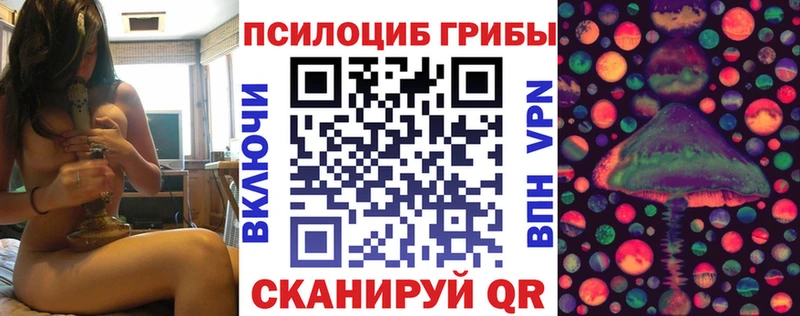 Галлюциногенные грибы Psilocybine cubensis  Черкесск 