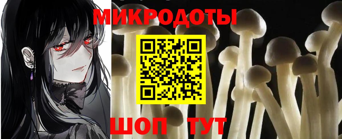 Черкесск  Галлюциногенные грибы прущие грибы  Псилоцибиновые грибы мицелий  как найти закладки  Вход с VPN 