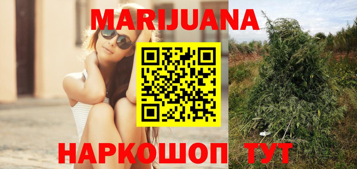 МЕФ Черкесск
